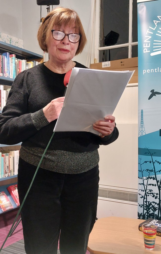 Introducing Lin Anderson